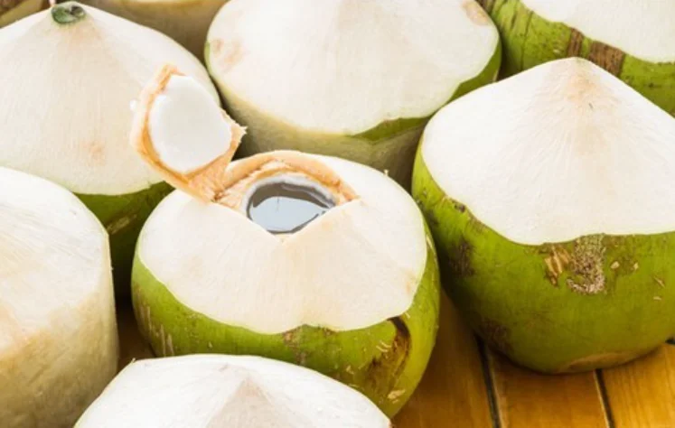 Low Price Young Coconut Pulp and Shell Part Hat Cut Shape Coconut Fresh Young Coconut Without Top Cover Exporter from Vietnam