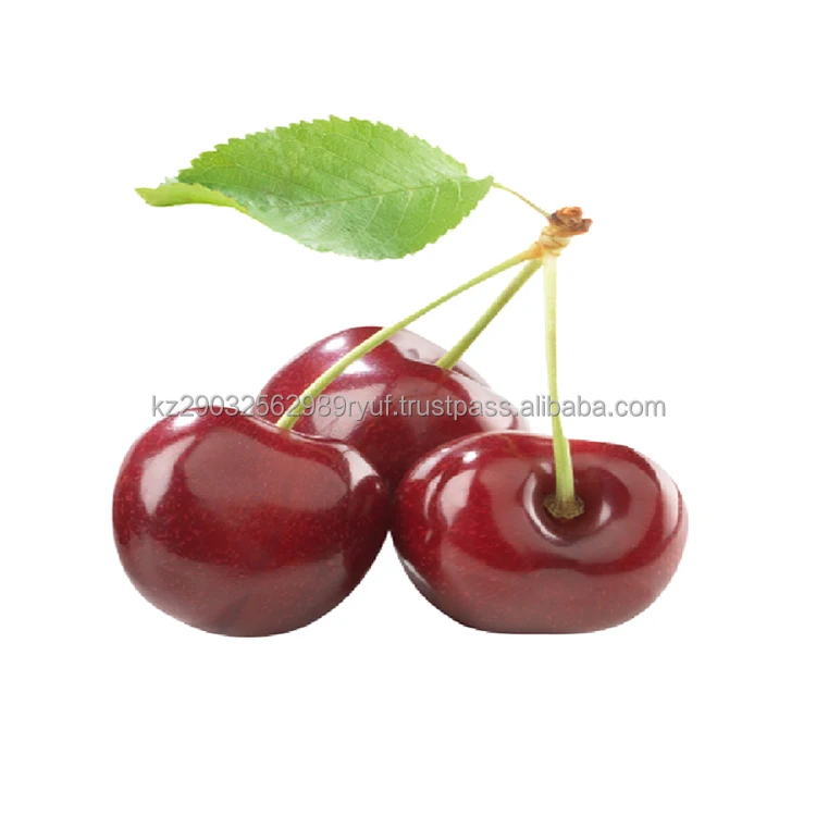 Ripe cherries are ideal for making smoothies compotes jams fruit salads desserts or stuffing for dumplings