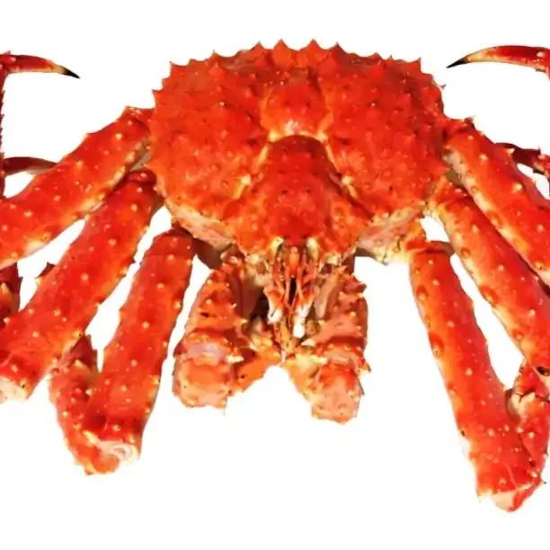 Whole Alaskan Grade Red Legs Frozen Soft Shell Crabs Live Mud Crabs Red King Crabs