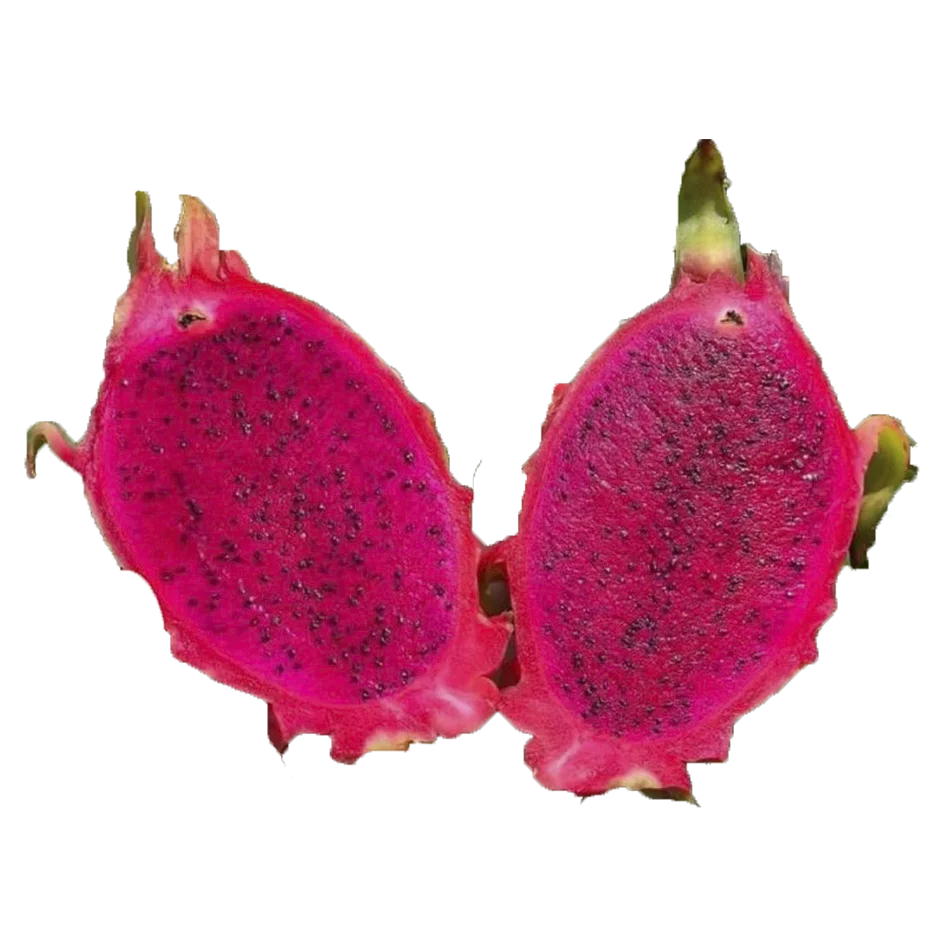 Freeze Dragon Fruit Good Price No Preservatives For Dessert Bulksales Carton Box Plastic Wrap Vietnam Manufacturer