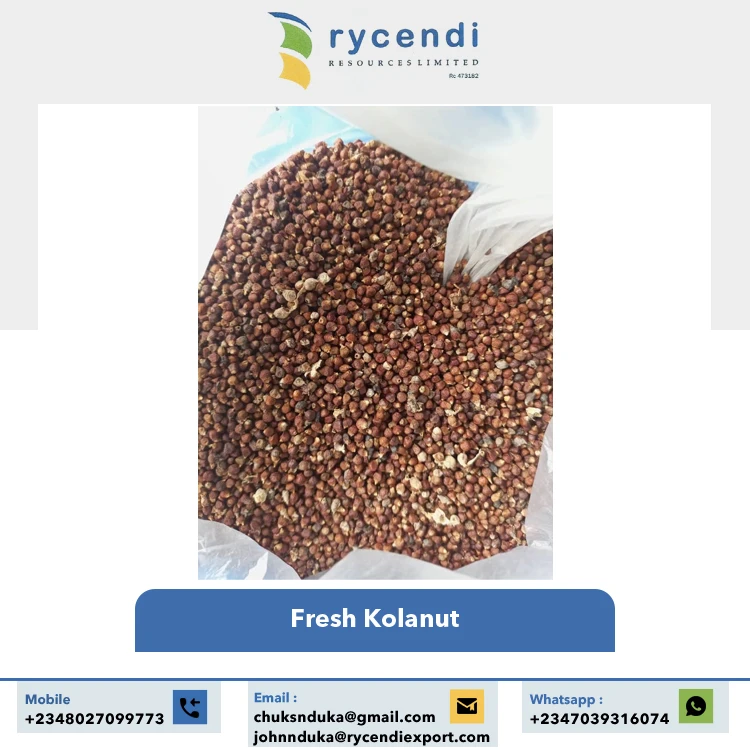 Nigerian Origin Manufacturer Exporting Premium Grade Healthy Natural Taste Alligator Pepper Seed Available at Best Market Price