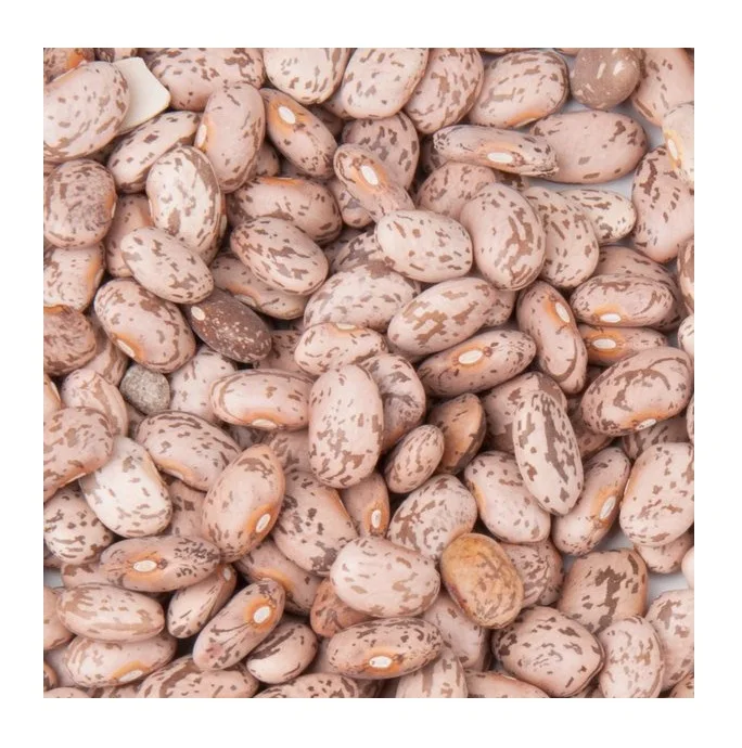 Оптовая цена, легкая зернистая фасоль, производство фабрики, сухая пинтовая фасоль