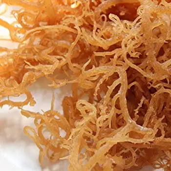 Сушеные морские водоросли irish Seamoss натуральные лучшие продажи за несколько месяцев