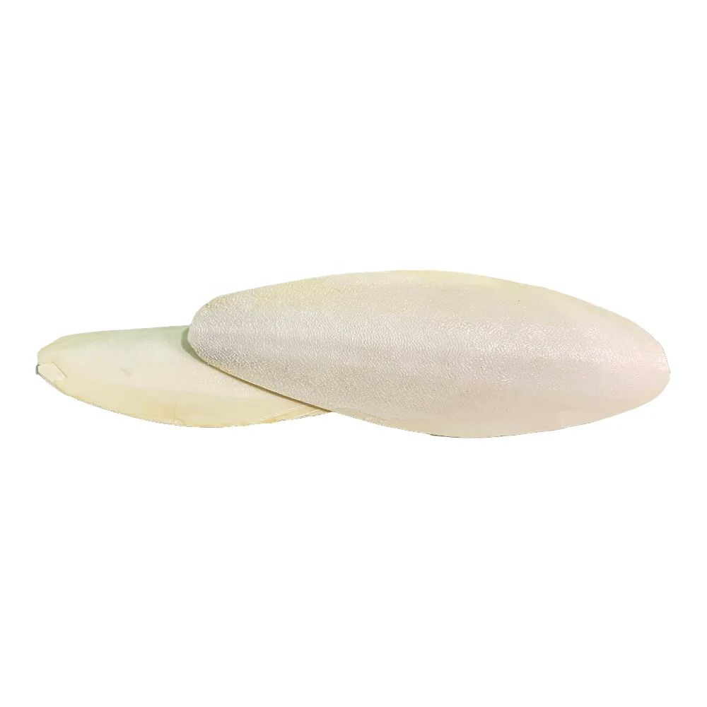 OEM/ODM PRODUCING CUTTLEBONE PET FOOD DRIED CUTTLEFISH BONE FOR PET NUTRITION! PURE NATURAL FOR BIRDS REPTILES MEDICINE