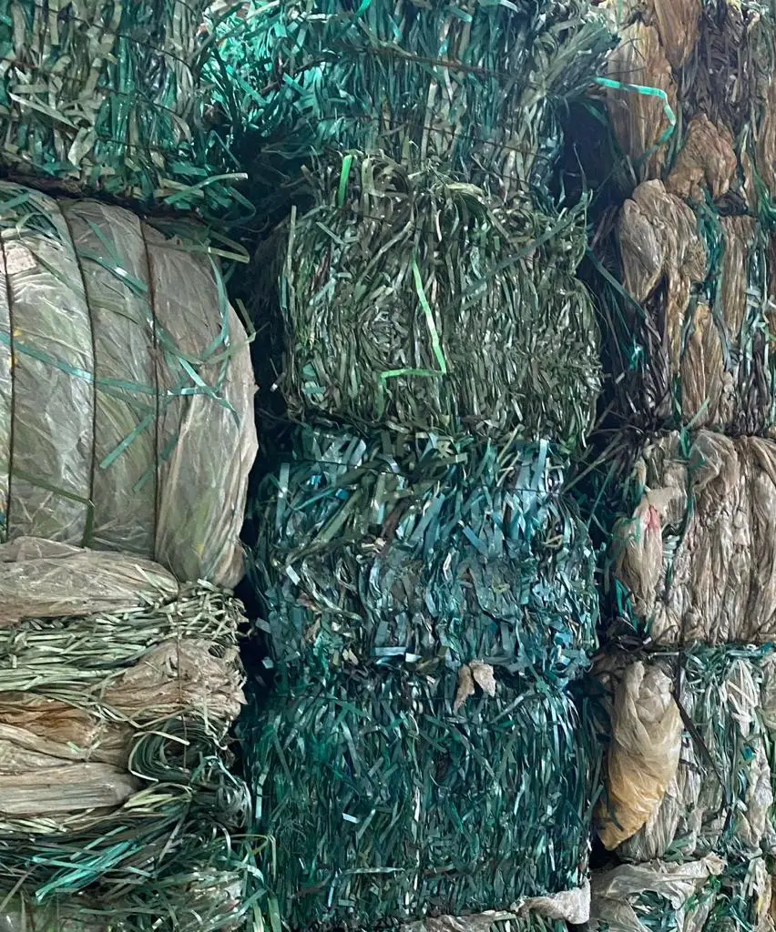 PET/pp straps scrap plastic recycled plastic stretch film pp scrap pet bottle waste