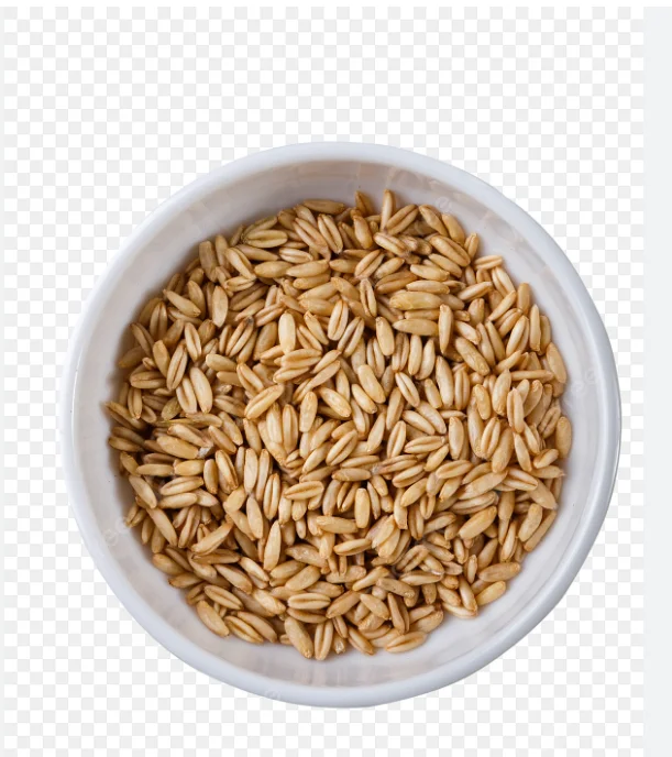 Barley Grains Premium Barley Seeds/Animal feed barley/bulk barley grains Malted Barley Malt grain for sale Top Grade