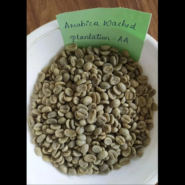 ROBUSTA зеленый кофе в зернах экран 13-18