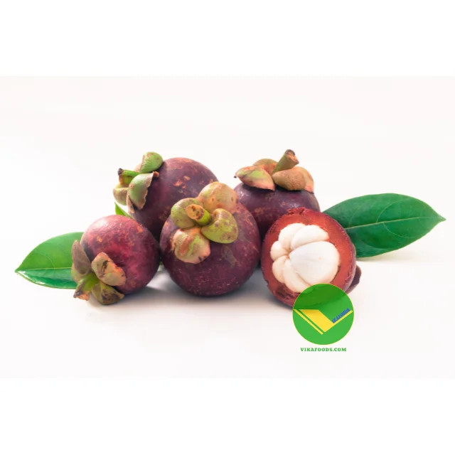 High Quality and Reasonable Prices Fresh Mangosteen from Viet Nam for wholesaler and for buyer (+84983028718)