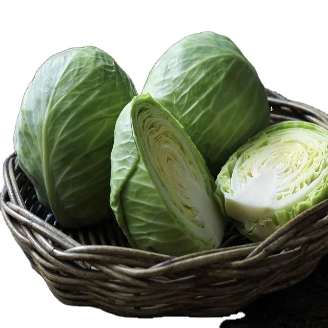 White Cabbage Fresh Nutrients Cabbage Vegetable Wholesales Price For Fresh Vegetable Cabbage