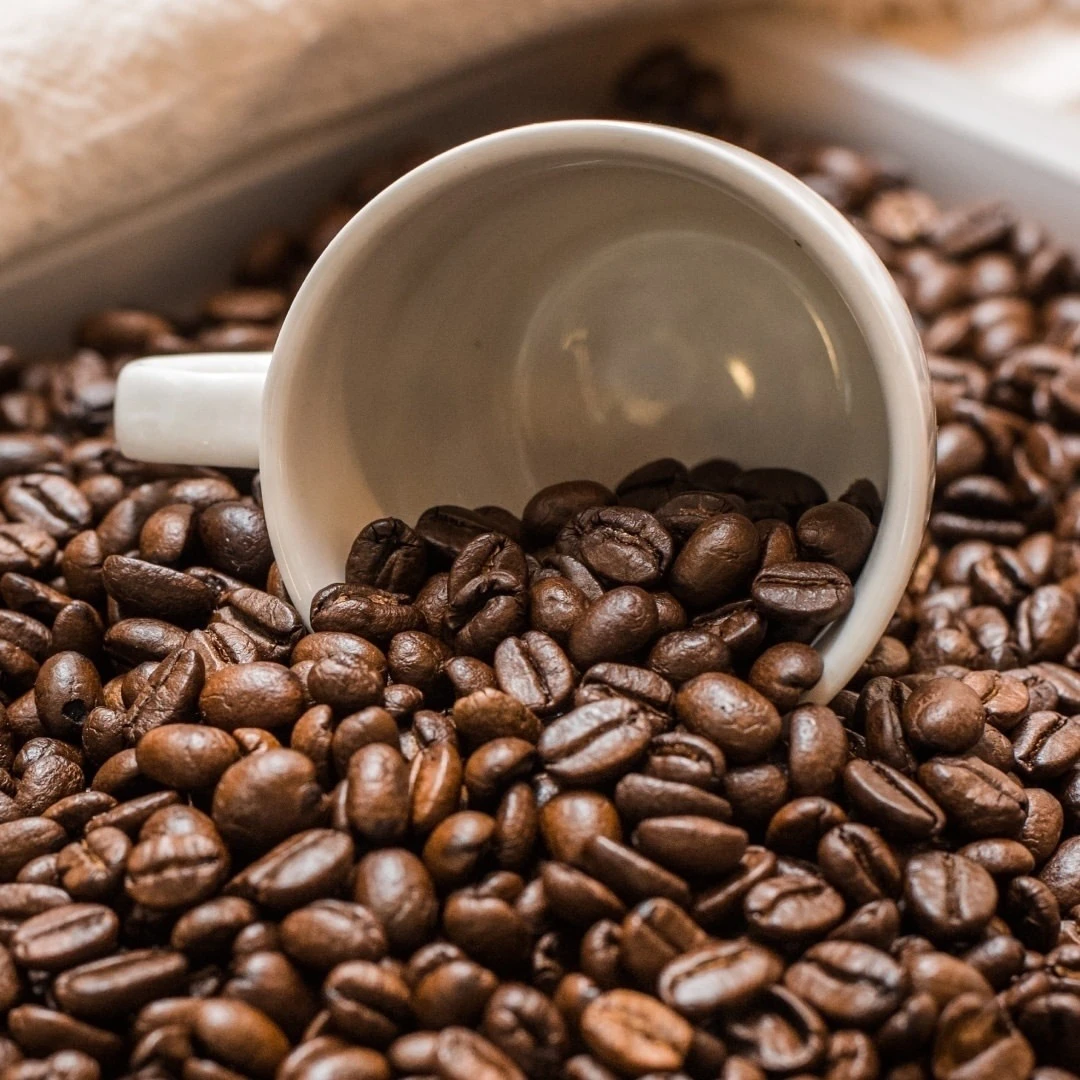 Wholesale raw Arabica Coffee beans for sale from Africa Best selling Arabica Coffee beans at good prices Buy Arabica Coffee