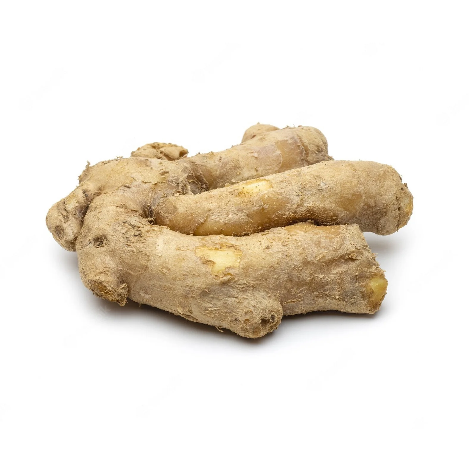Certified Grade Dried Organic Ginger Rood Bulk Purchase Whole Dry Ginger Rood Buy From Indian Manufacturer