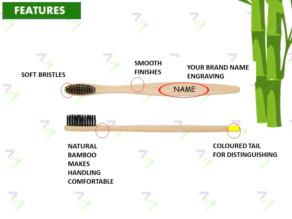 Natural Bamboo Toothbrush Tube packing multiple pieces pack teeth brush