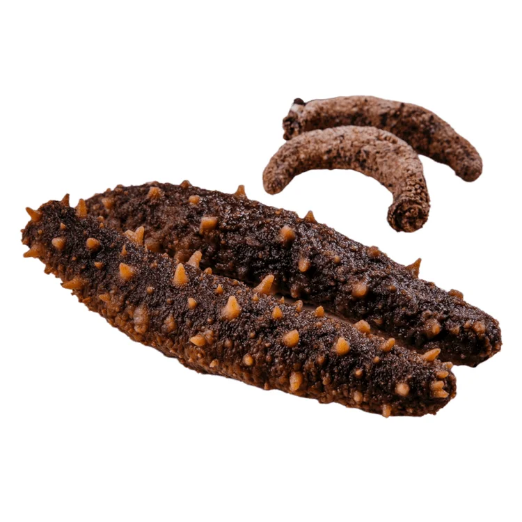 DRIED SEA CUCUMBER / Top Quality Wholesale Dried Sea Cucumbers / Sun Dried Sea Cucumber