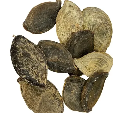 12.png