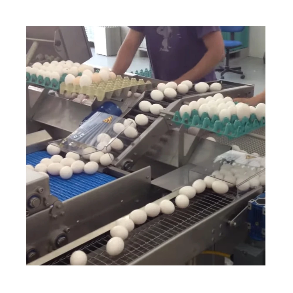 Chicken eggs washing and cleaning machine/ 20 000 eggs per hour / stainless steel egg washer for poultry farm