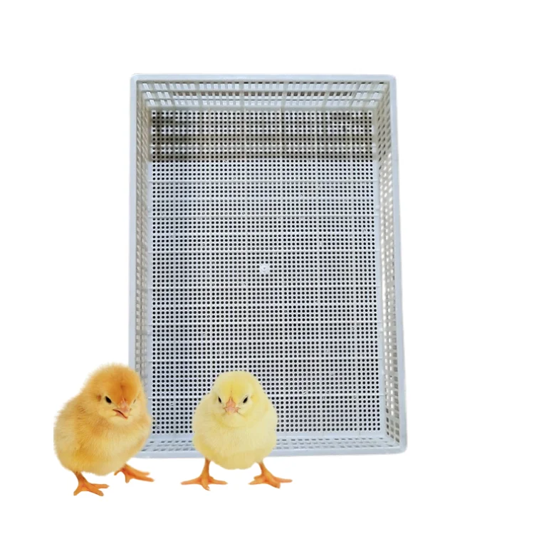 Poultry Plastic Slat Floor Good Price New Design For Duck Poultry Farming Equipment Customization Made In Vietnam Manufacturer