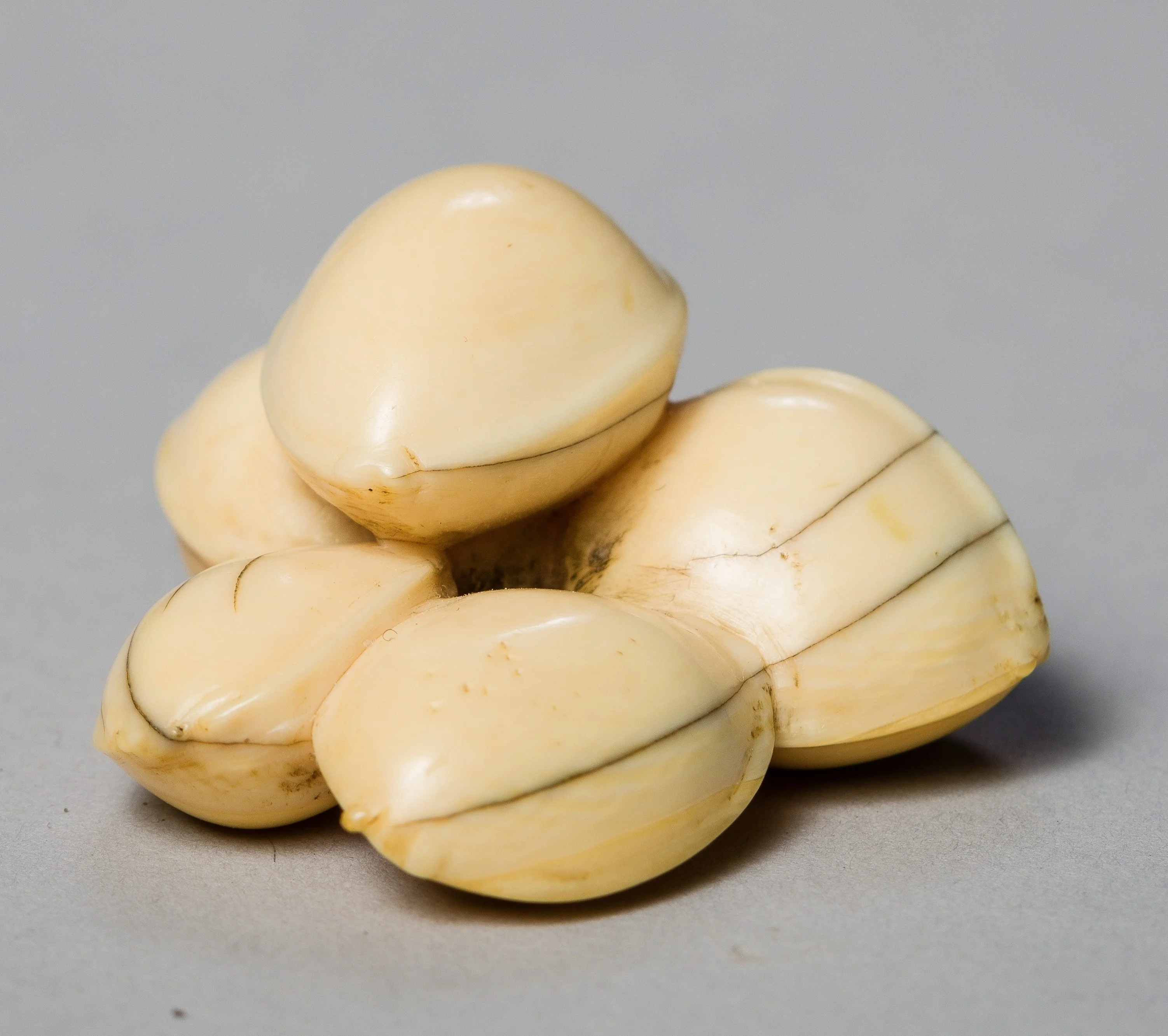 Best Price dried Quality Ginkgo Nuts For Sale wholesale
