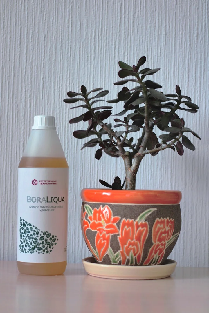 Mineral Boron Fertilizer With Nitrogen Organic Microelement Liquid Fertilizer Produced by BoraLiqua For Agricultural Plants