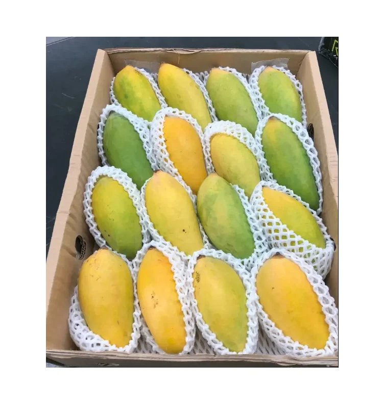 Mango Fresh Yellow and Green Delicious Taste Premium Quality With Customized Packaging Logo Discounted Price
