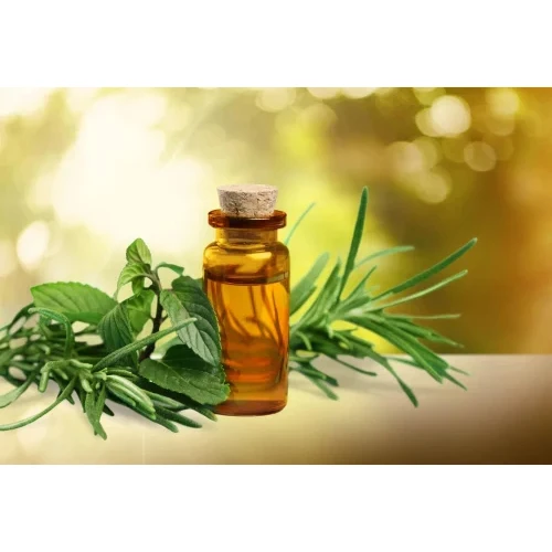 Natural Plant Organic Tea Tree Essential Oil Factory Bulk Price For Hair Care