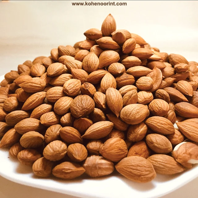 Apricot Kernels ~ Prunus armeniaca Abrikozenpitten 15Kg and 01 Kg Bags