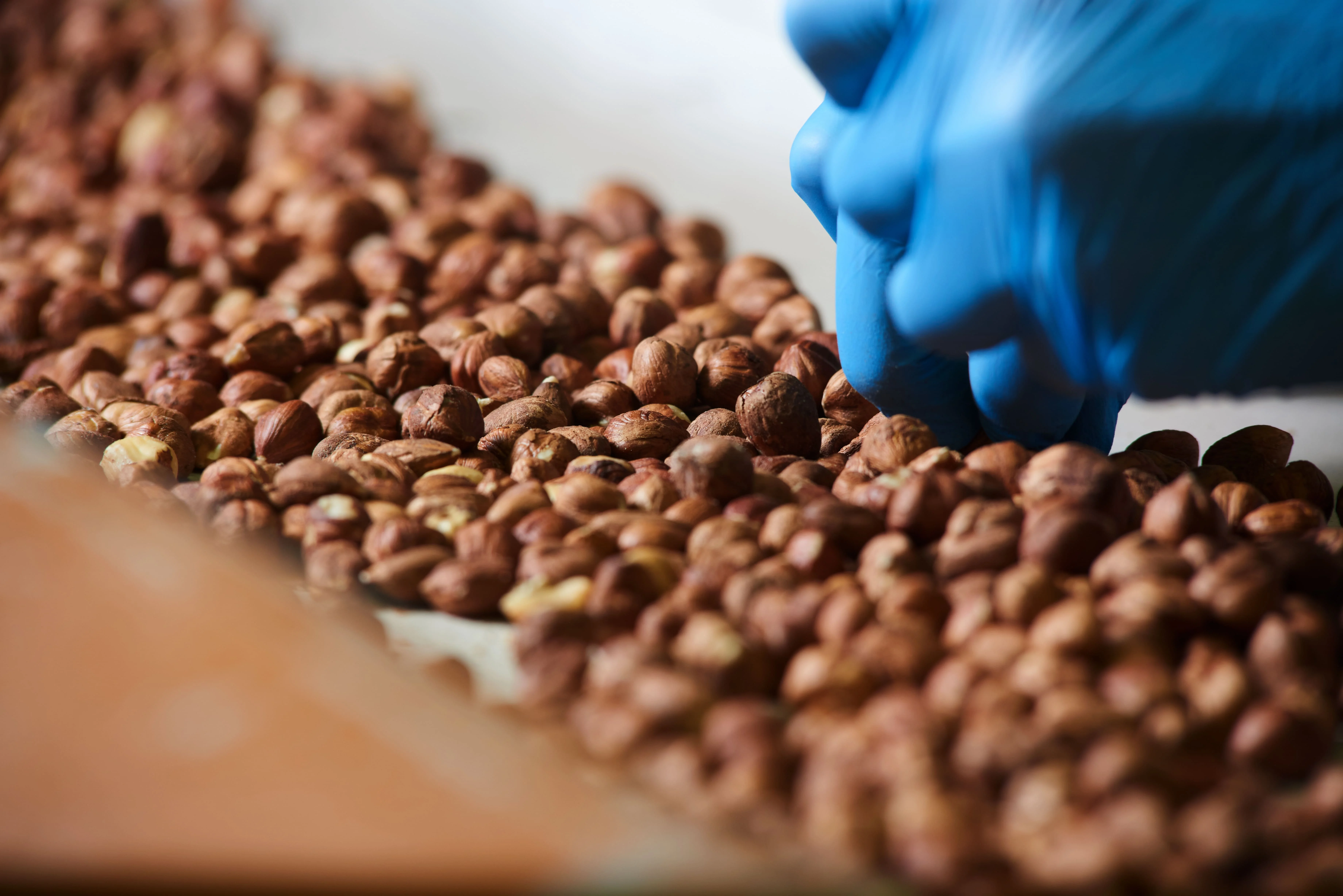 high quality coffee beans covered with white chocolate made in italy 10 kg at special price in PP bag in PA box