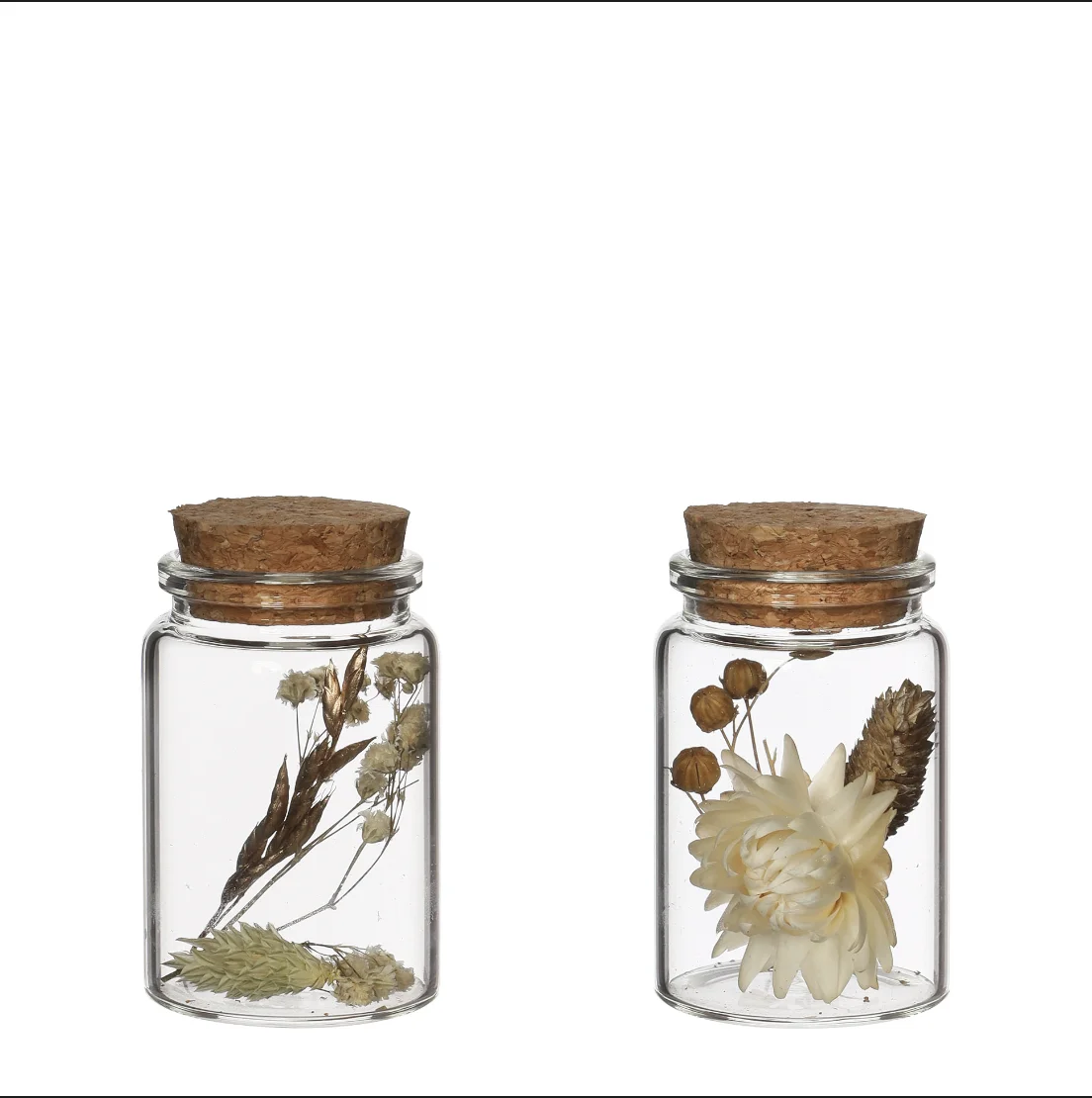 Home Decor Chique Glass with Dried Flowers with Cork lid - 2 assorti h75 45 cm E159 for Home Decoration Wholesale