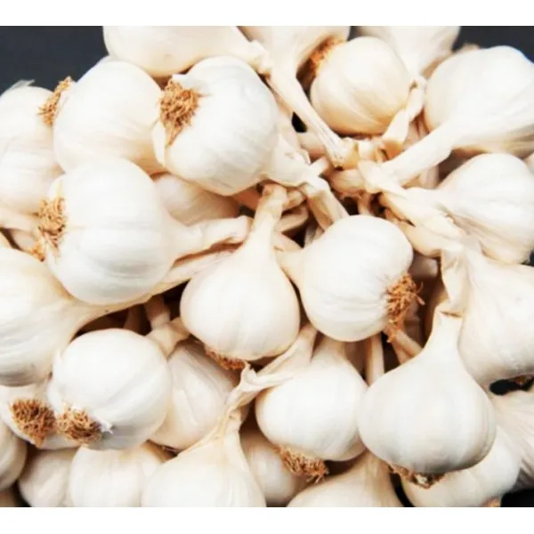 Ly Son garlic originating from Vietnam is the best-selling product in Vietnam ready to ship