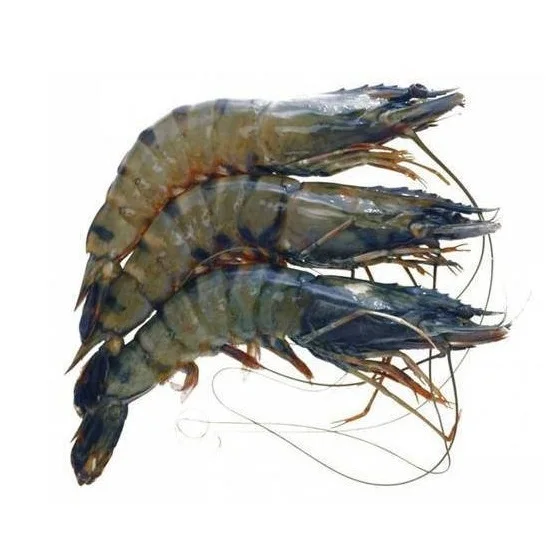 Креветки, Черные Тигровые креветки, замороженные красные креветки, сырые очищенные дикие креветки, охлажденные морепродукты