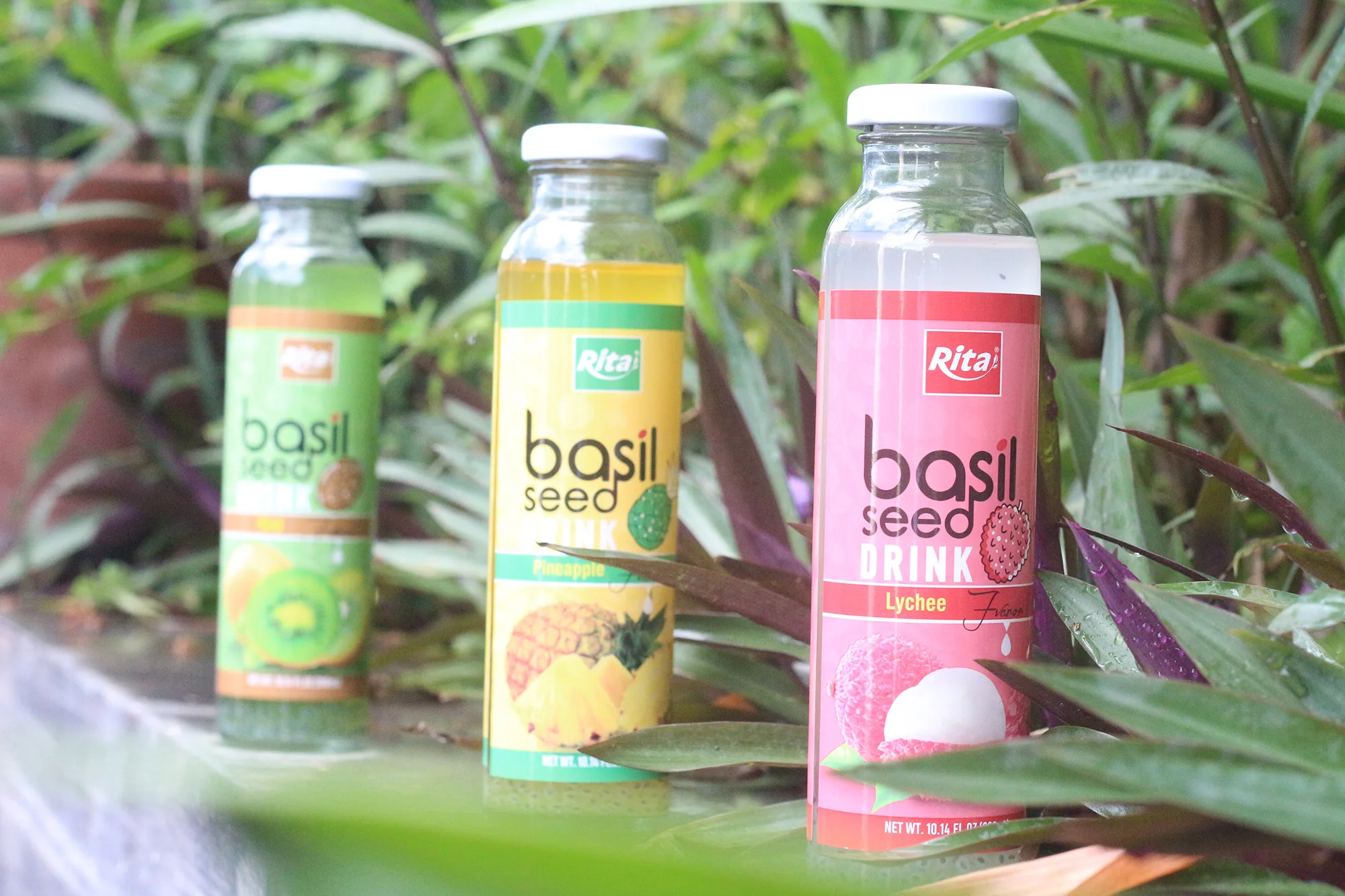 Private Label Accepted Natural Chia Basil Seed Drink Lychee Fruit  Glass Bottle Vietnam Good Quality Fast Delivery Healthy Drink