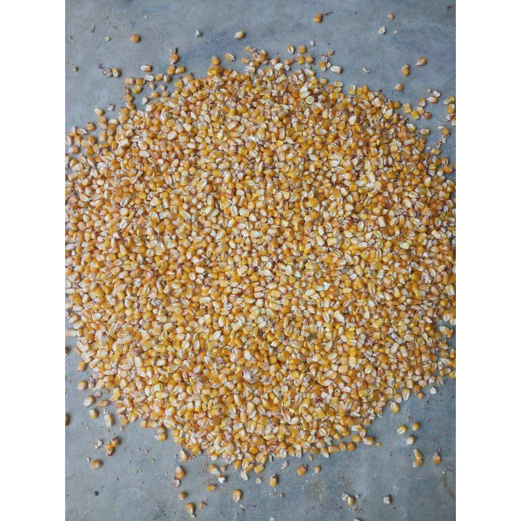Wholesale Price Yellow Corn High Quality Yellow Maize Corn for Animal Feed Supplier