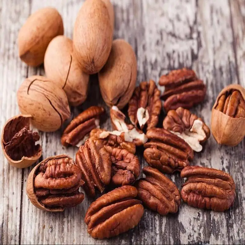 Alesto Selection Pecan Nuts Halves 500g Delicious Snack /Best Brand Pecan Nuts High In Unsaturated Fats Sale Vienna Low Price
