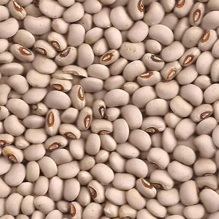 Black Eye Beans Non GMO Healthy nutrition minimum 1 ton for Export available in discount rate