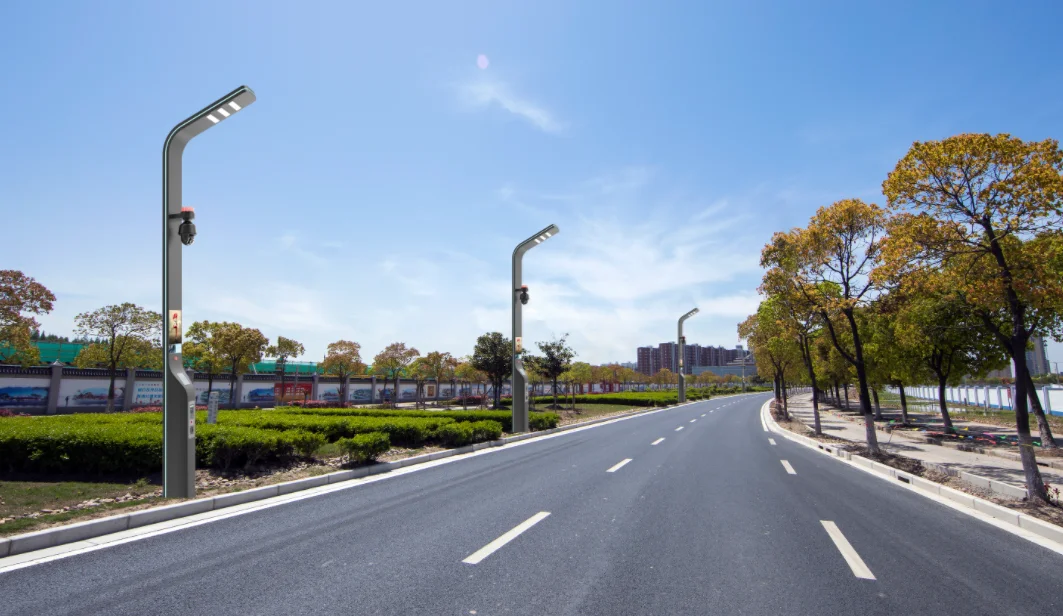 INTEFLY 6m urban lora controller cctv traffic light custom lamp smart pole