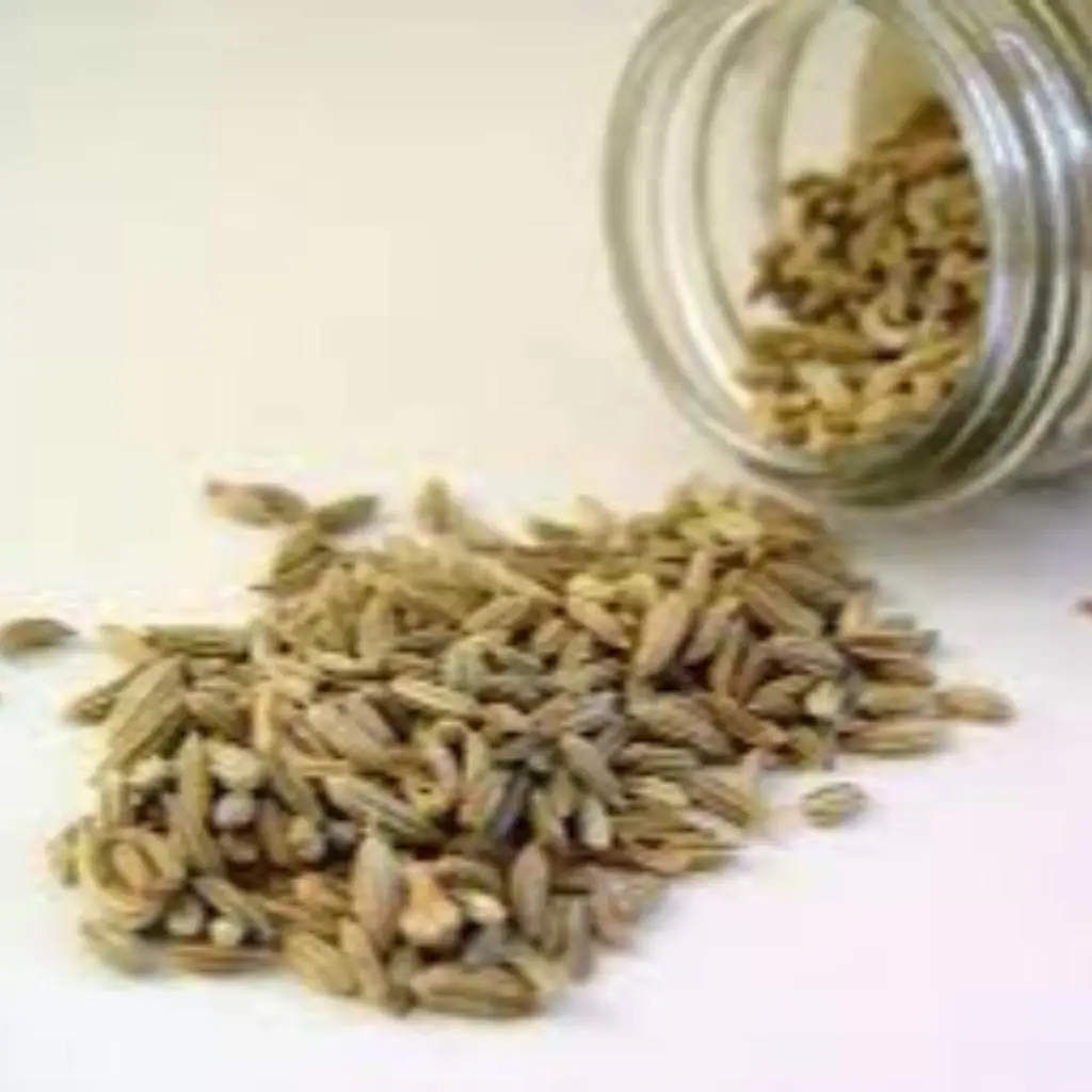 Natural Raw Fennel Seeds for Sale in Bulk with High Quality Fresh Aromatic Fennel Seeds Wholesale for Spices