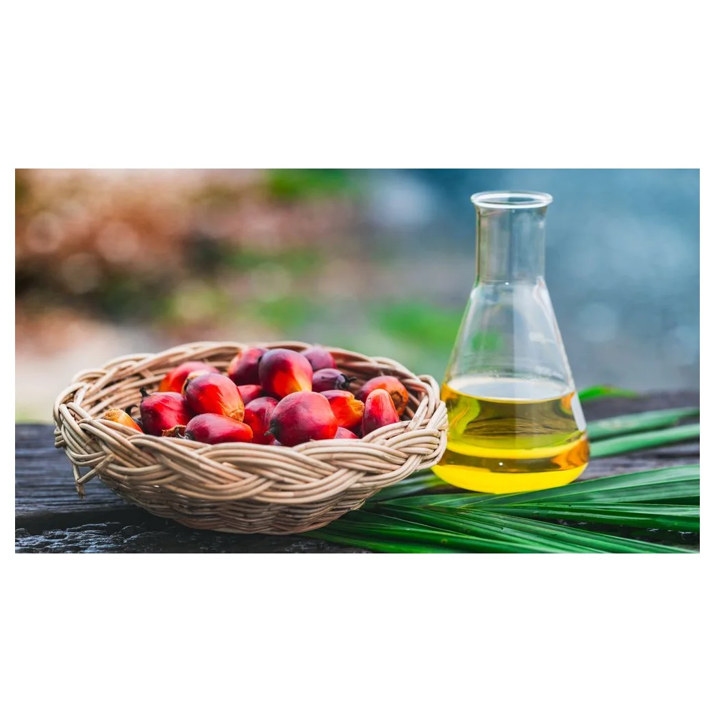 Quality pure Palm Oil | RBD Palm Olein - Crude Palm Oil 100% Refined Oil