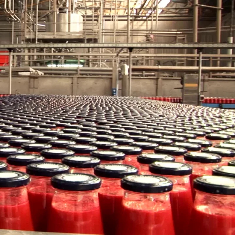 Top Quality 100% Italian La Romanella Tomato passata in glass bottle 12x690g Steamed Processing For Export