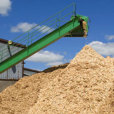 Best Quality Hot Sale Price Pine Bark Chip Planted Trees Natural Pine Wood Chips Oak Wood Chips For Sale At Low Cheap Price