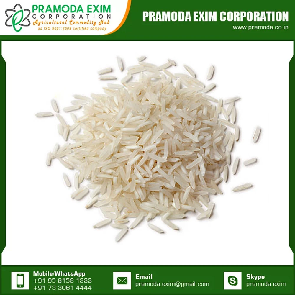 Wholesale Price Long Grain White Rice