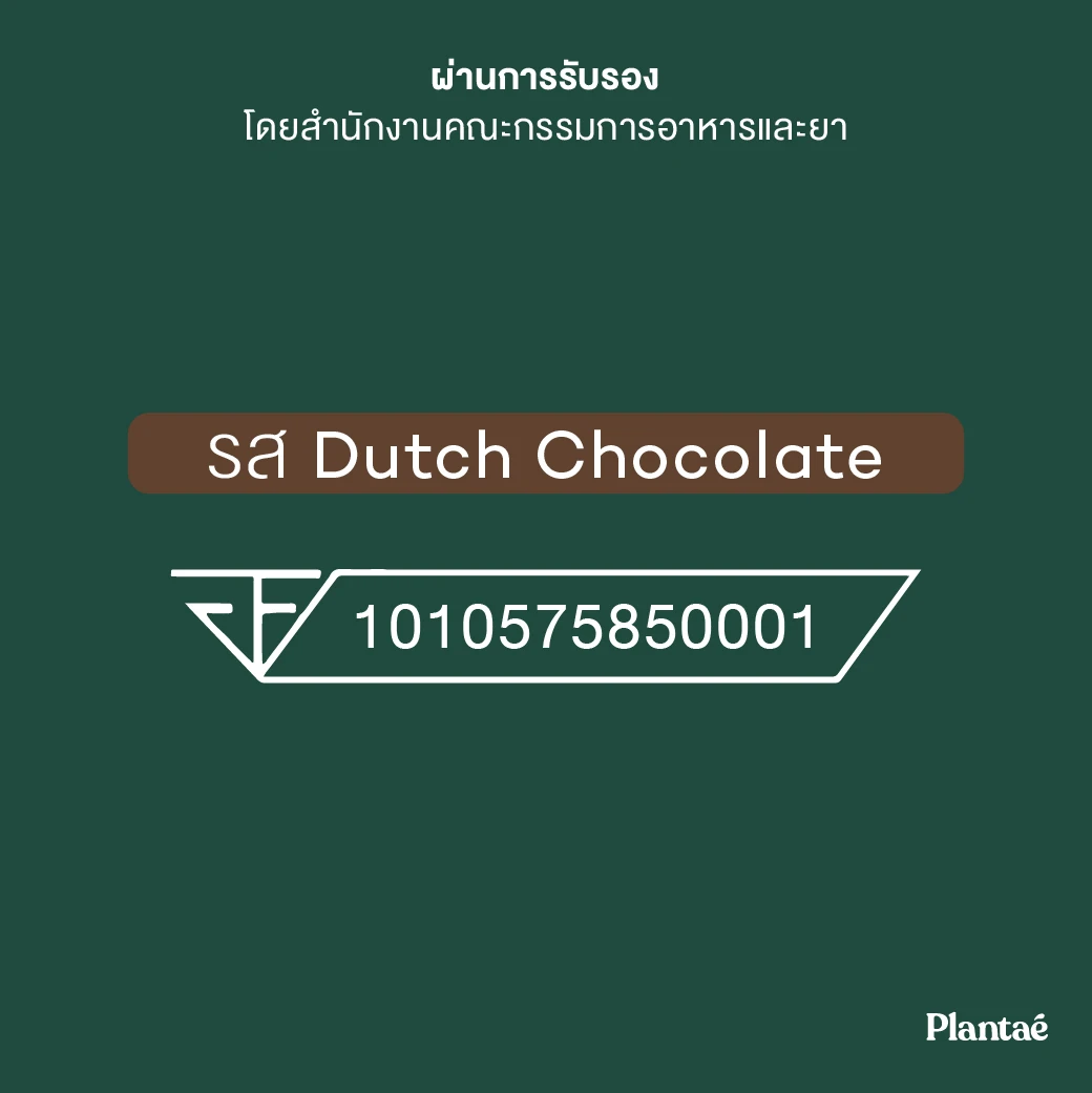 Рекомендуемый высококачественный растительный белок 30 г (коробка), голландский шоколад со вкусом из Таиланда