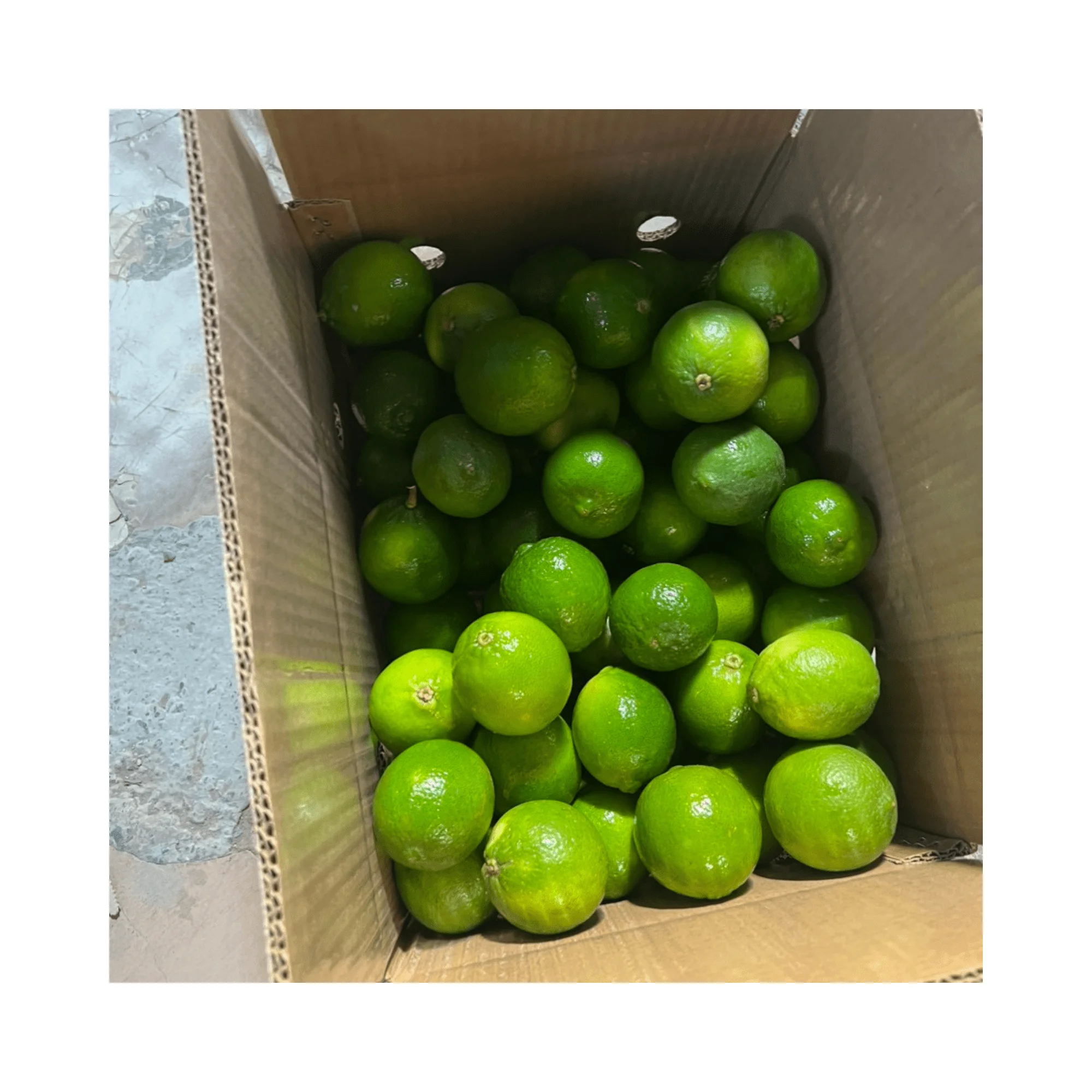 Fresh Vietnam Lime Wholesale Seedless Lemon Vietnam / Fresh Seedless Lemon New Crop Vietnam With High Quality And Good Price