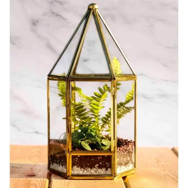 Industrial Design Simple Square Glass Vase Hydroponic Indoor Succulent Green Plant Pot Home Use Planting Basin