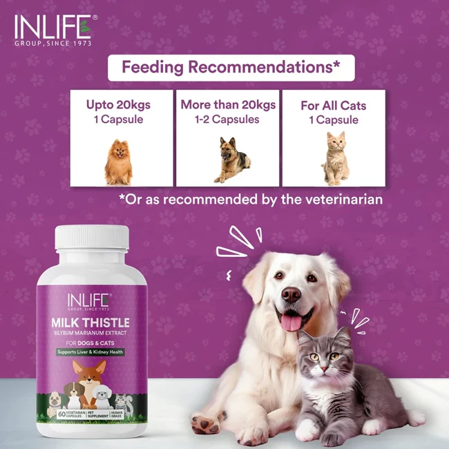 Premium Milk Thistle Capsules Traditional Herbal Support for Pets with Pure Vegetarian Ingredients