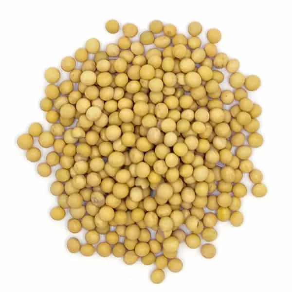 Соевые бобы NON-GMO соевые урожай высокого качества