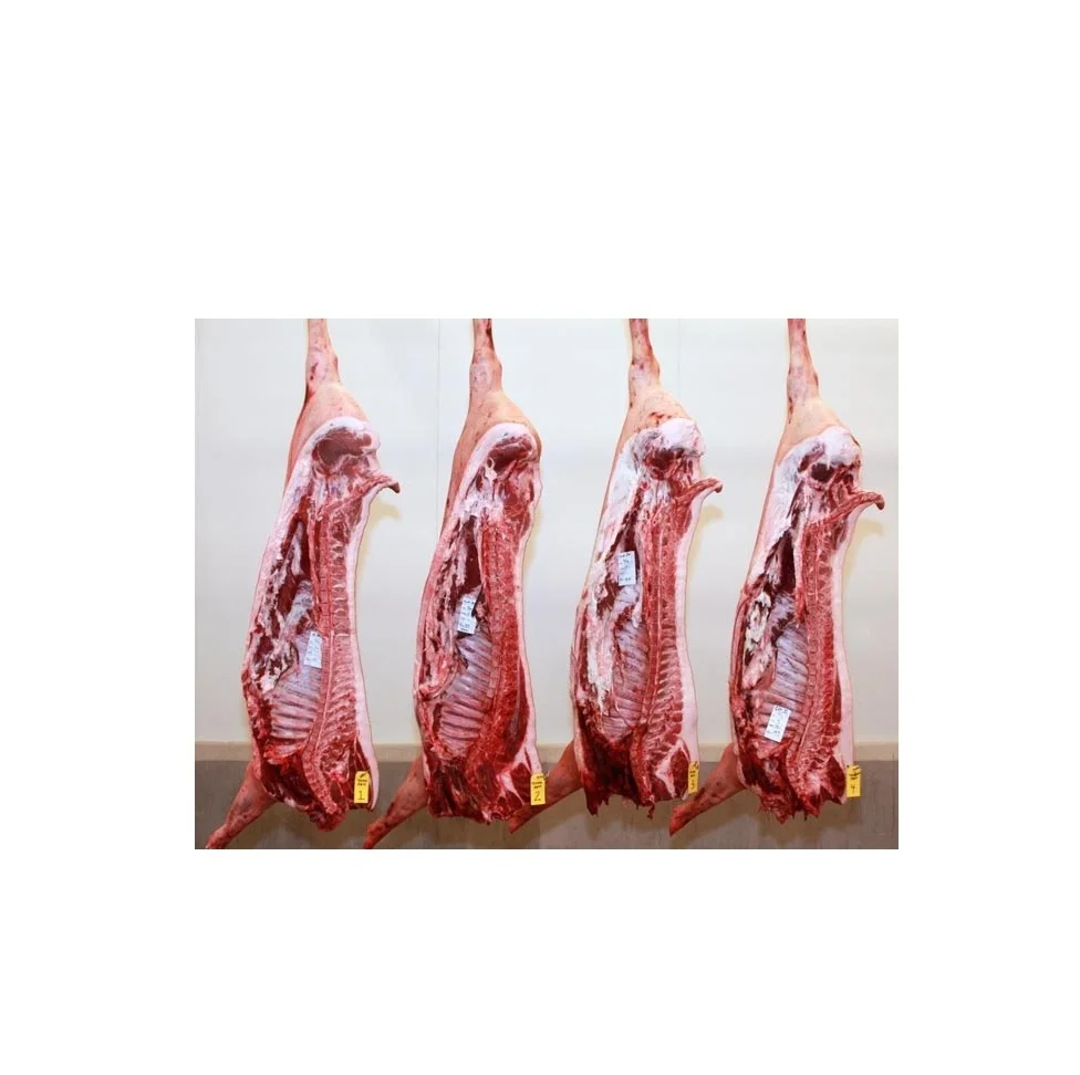 Premium Quality Frozen Pork Half/Full Carcass with Fat Whole Liver Tail IQF Process Bulk Stock at Wholesale Cheap Price
