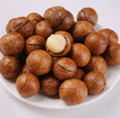 Macca Size 29-35 or Flagship Vietnamese Macadamia Factory Prices For Exporting Maca Nuts Dried