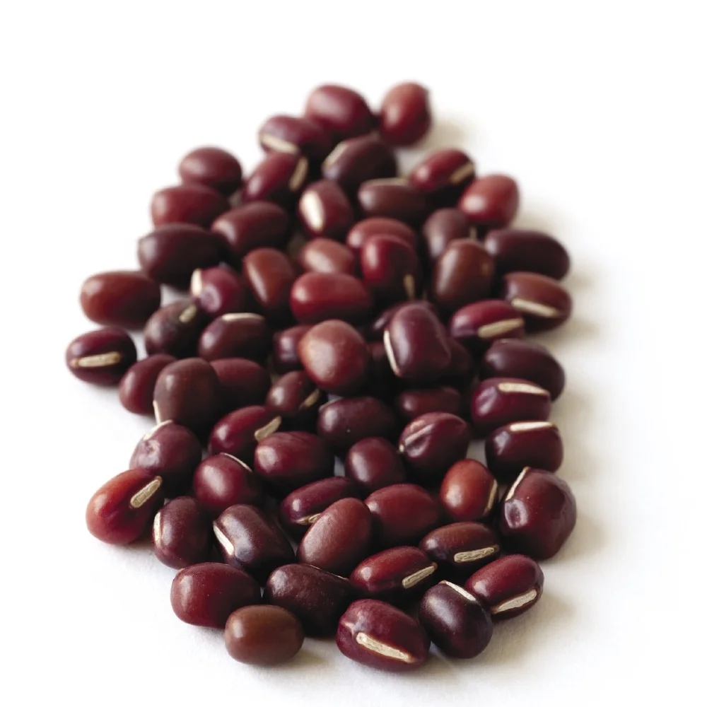 high-quality fresh organic dried adzuki beans in season without additives.