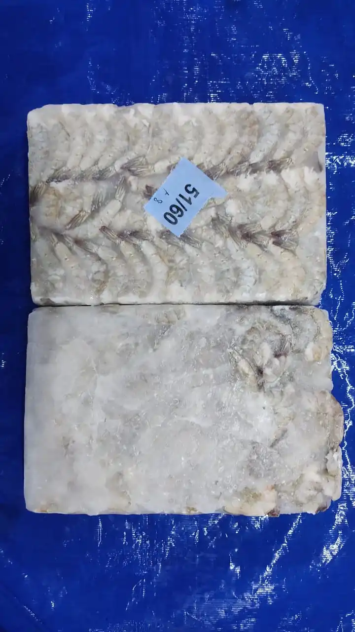 BULK FROZEN  HLSO 51/60 SIZE FROM INDIAN ORIGIN FISH SUPPLIERS FROZEN HOSO VANNAMEI SHRIMPS HEAD ON SHELL ON