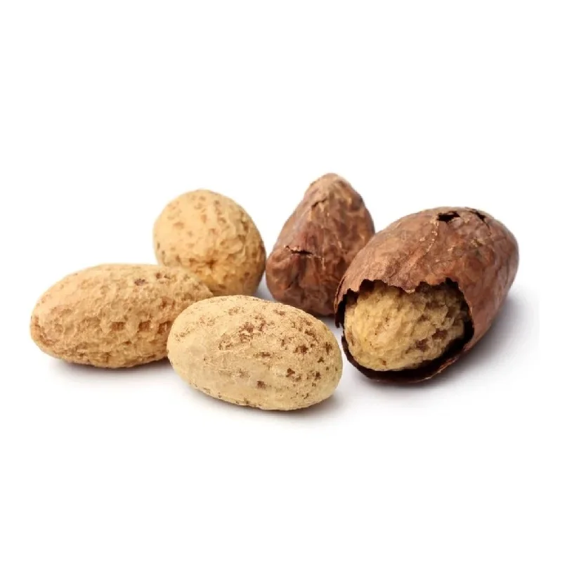 kolanut) Bitter kola,garcinia kola-bitter kola,kola nut bitter/African Bitter kola