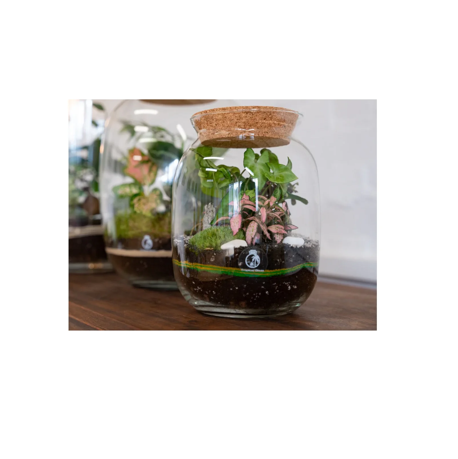 Personalized Plant Holder Terrarium White Box Cylinder Transparent American Style Clear Glass Ball Bottle Jar Terrarium with Led